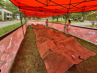 Monster Corporate - 750 Sq Ft - 15' x 50' — 4